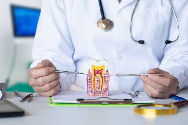 Best Walk-In Emergency Dental Services in Libby, MT